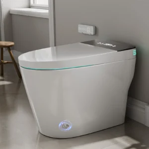 Smart Toilet with Built-in Bidet, AUTO Open/Close, Warm Water Sprayer